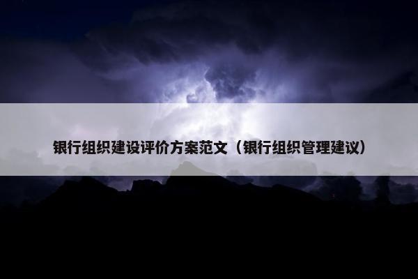 银行组织建设评价方案范文（银行组织管理建议）