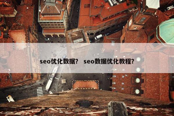 seo优化数据？ seo数据优化教程？
