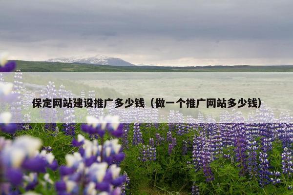 保定网站建设推广多少钱（做一个推广网站多少钱）