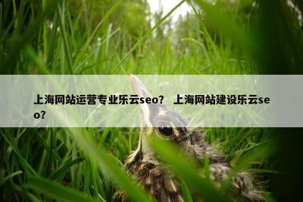 上海网站运营专业乐云seo？ 上海网站建设乐云seo？