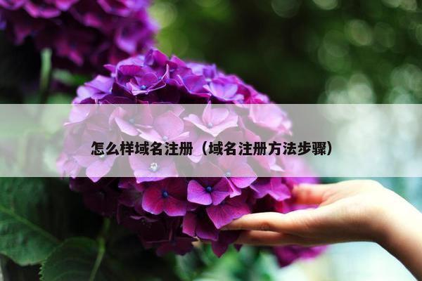怎么样域名注册（域名注册方法步骤）