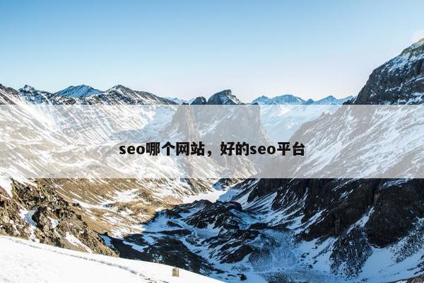 seo哪个网站，好的seo平台