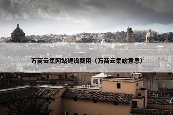 万商云集网站建设费用（万商云集啥意思）