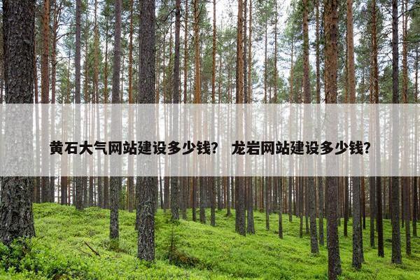 黄石大气网站建设多少钱？ 龙岩网站建设多少钱？
