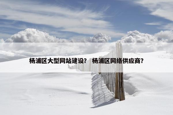 杨浦区大型网站建设？ 杨浦区网络供应商？