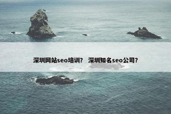 深圳网站seo培训？ 深圳知名seo公司？