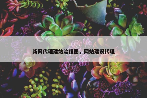 新网代理建站流程图，网站建设代理