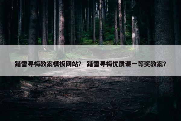 踏雪寻梅教案模板网站？ 踏雪寻梅优质课一等奖教案？