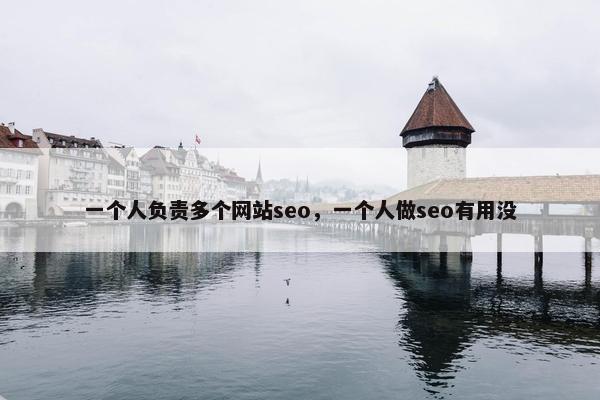 一个人负责多个网站seo，一个人做seo有用没