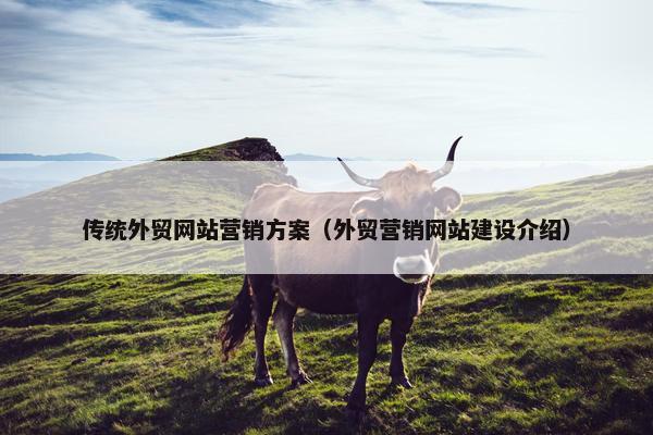 传统外贸网站营销方案（外贸营销网站建设介绍）