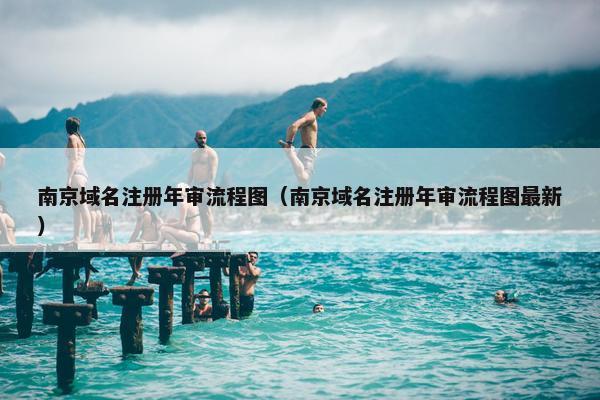 南京域名注册年审流程图（南京域名注册年审流程图最新）