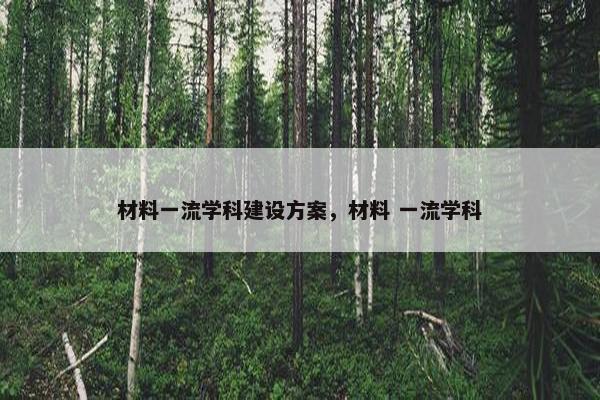 材料一流学科建设方案，材料 一流学科