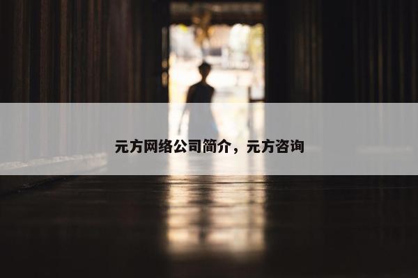 元方网络公司简介，元方咨询