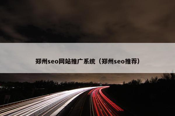 郑州seo网站推广系统（郑州seo推荐）