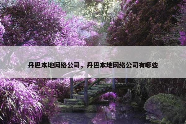 丹巴本地网络公司，丹巴本地网络公司有哪些