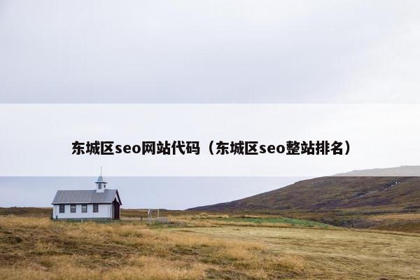 东城区seo网站代码（东城区seo整站排名）