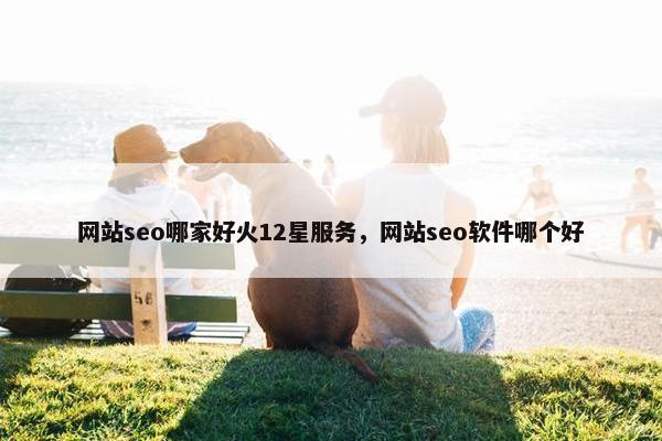 网站seo哪家好火12星服务，网站seo软件哪个好