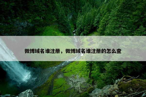 微博域名谁注册，微博域名谁注册的怎么查