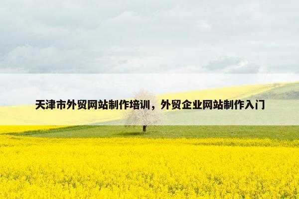 天津市外贸网站制作培训，外贸企业网站制作入门
