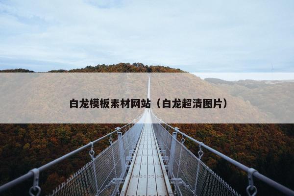 白龙模板素材网站（白龙超清图片）