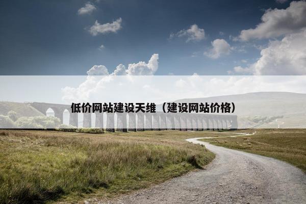 低价网站建设天维（建设网站价格）
