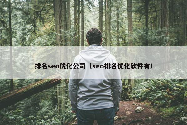 排名seo优化公司（seo排名优化软件有）
