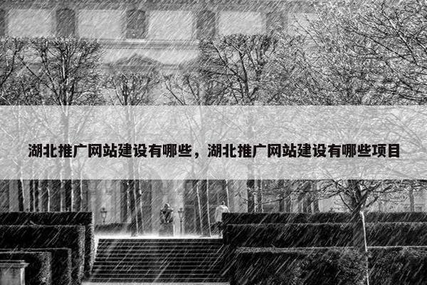 湖北推广网站建设有哪些，湖北推广网站建设有哪些项目