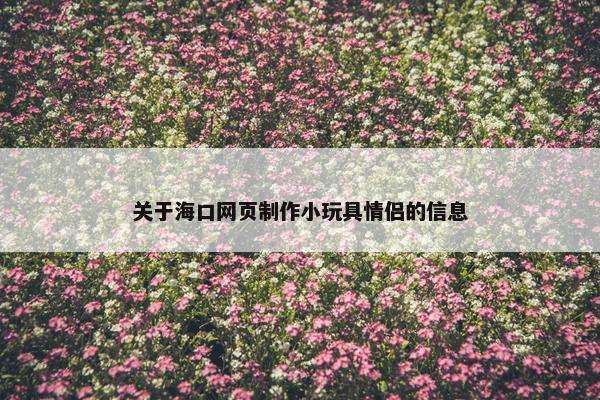 关于海口网页制作小玩具情侣的信息