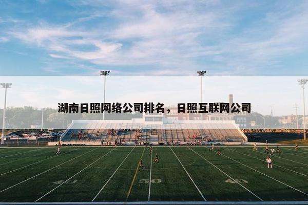 湖南日照网络公司排名，日照互联网公司