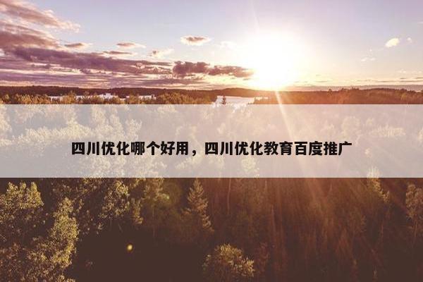 四川优化哪个好用，四川优化教育百度推广