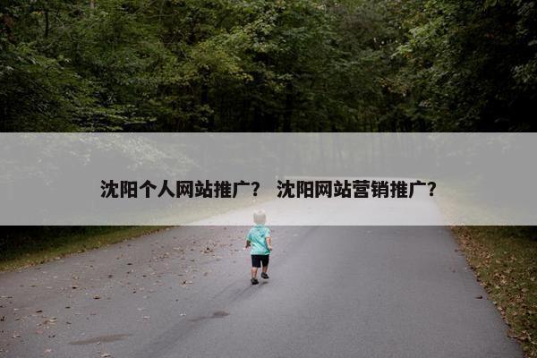 沈阳个人网站推广？ 沈阳网站营销推广？