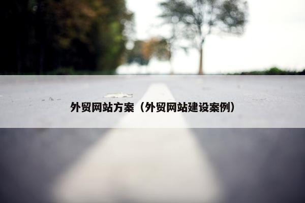 外贸网站方案（外贸网站建设案例）