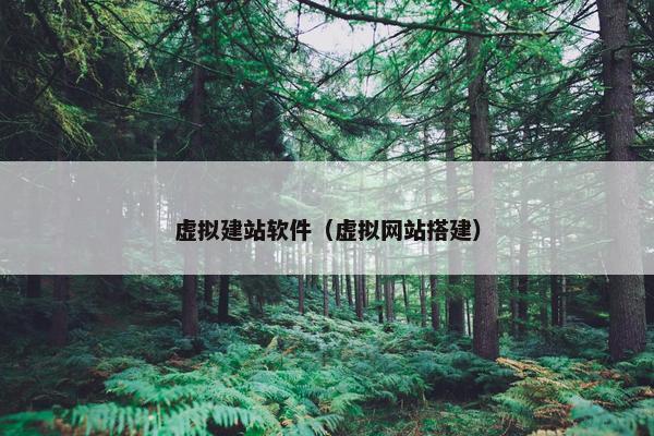 虚拟建站软件（虚拟网站搭建）