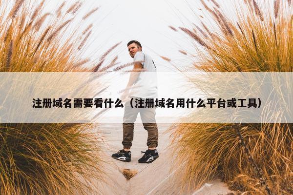 注册域名需要看什么（注册域名用什么平台或工具）