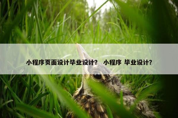 小程序页面设计毕业设计？ 小程序 毕业设计？