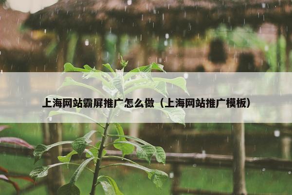 上海网站霸屏推广怎么做（上海网站推广模板）