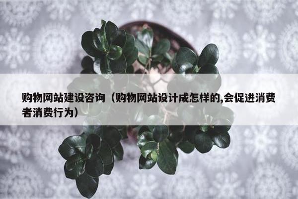 购物网站建设咨询（购物网站设计成怎样的,会促进消费者消费行为）