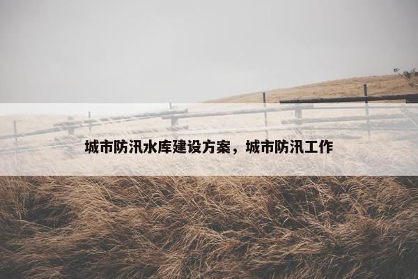城市防汛水库建设方案，城市防汛工作
