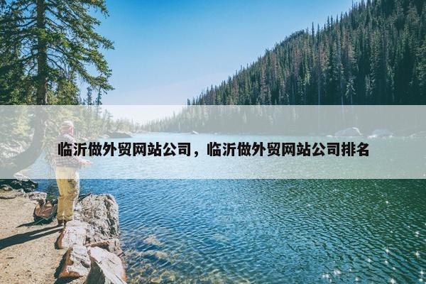 临沂做外贸网站公司，临沂做外贸网站公司排名