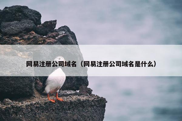 网易注册公司域名（网易注册公司域名是什么）