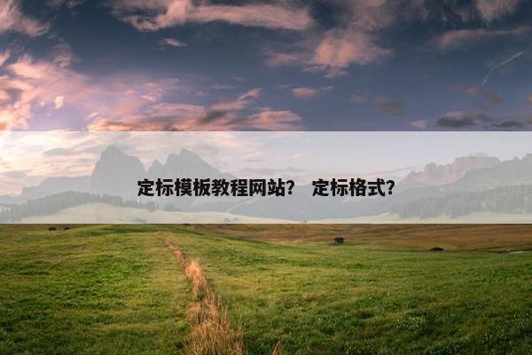定标模板教程网站？ 定标格式？