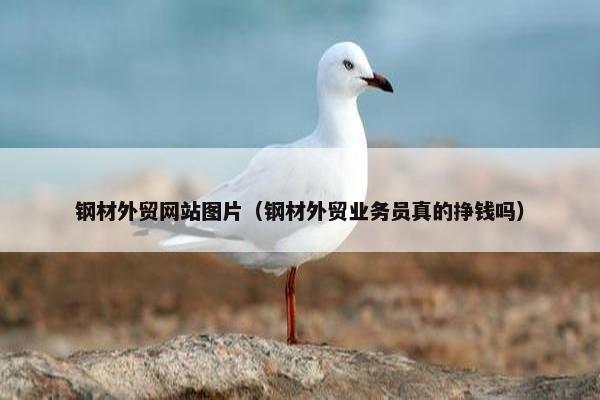 钢材外贸网站图片（钢材外贸业务员真的挣钱吗）