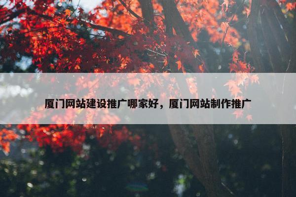 厦门网站建设推广哪家好，厦门网站制作推广