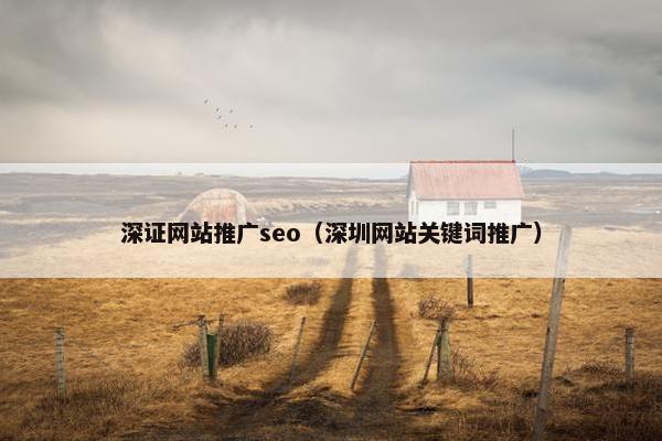 深证网站推广seo（深圳网站关键词推广）