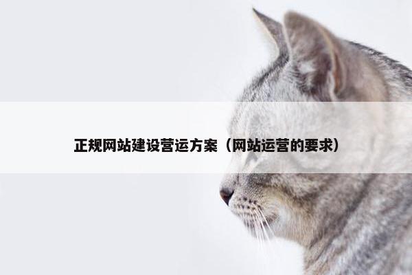正规网站建设营运方案（网站运营的要求）