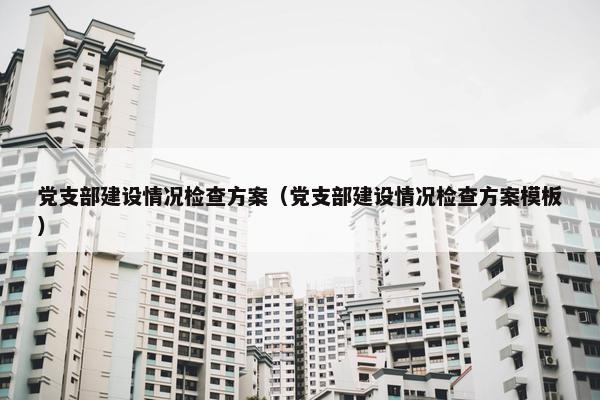 党支部建设情况检查方案（党支部建设情况检查方案模板）