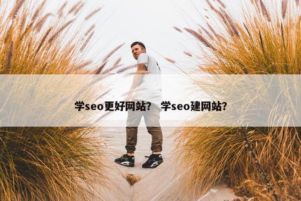 学seo更好网站？ 学seo建网站？