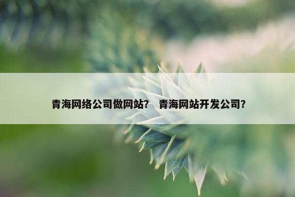 青海网络公司做网站？ 青海网站开发公司？