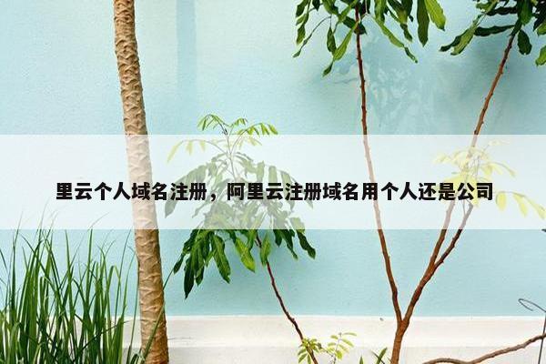 里云个人域名注册，阿里云注册域名用个人还是公司