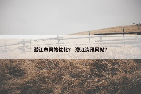 潜江市网站优化？ 潜江资讯网站？